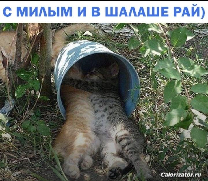 IMG 20220709 111915