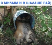 IMG 20220709 111915