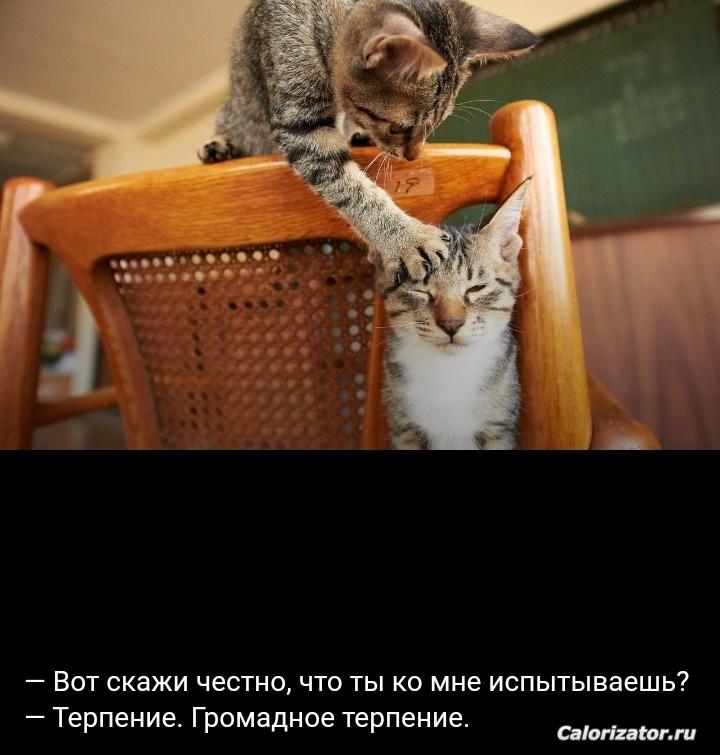 IMG 20220709 111959