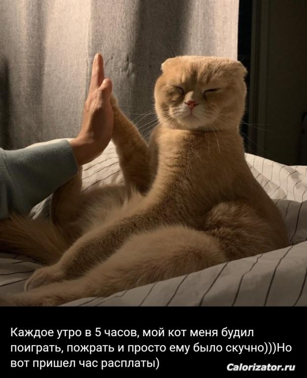 IMG 20220709 112404