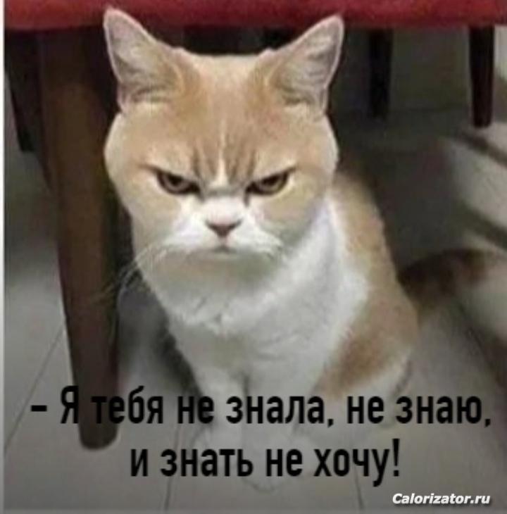 IMG 20220709 112553