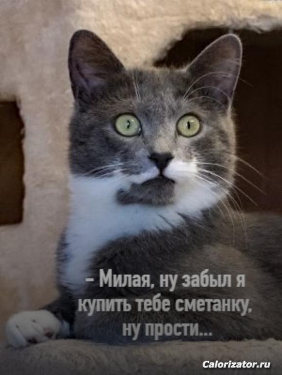 IMG 20220709 112637
