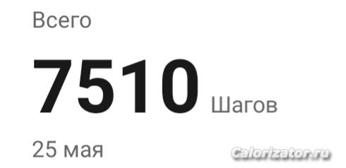 25.05.2023