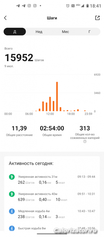 шаги 09.07.2022