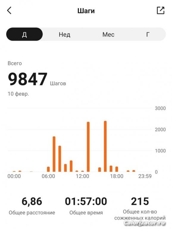 10.02.2023