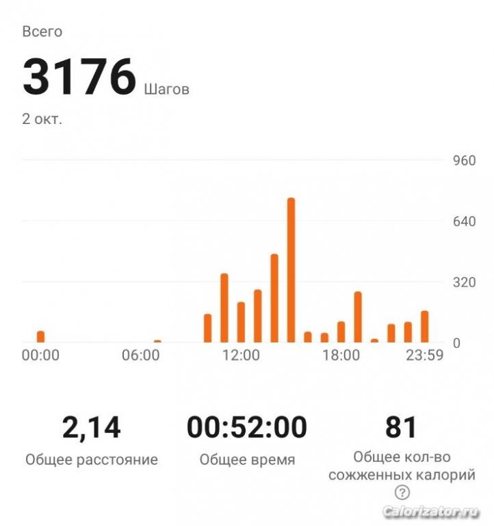 3176