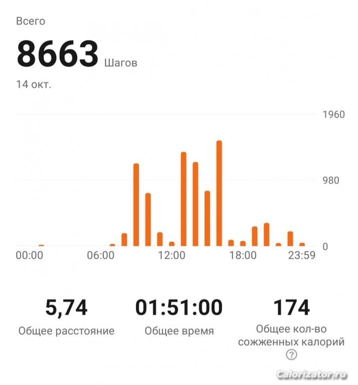 8663
