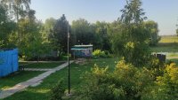 Домик моржей)