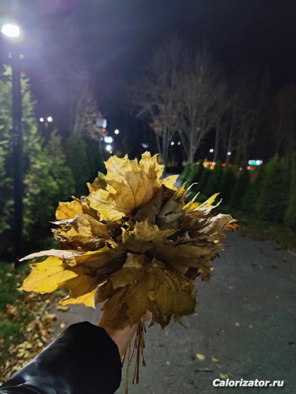 IMG20221114192854