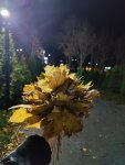 IMG20221114192854