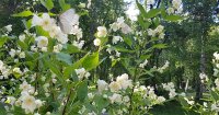 tomsk-08-2