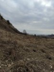 Лысая гора