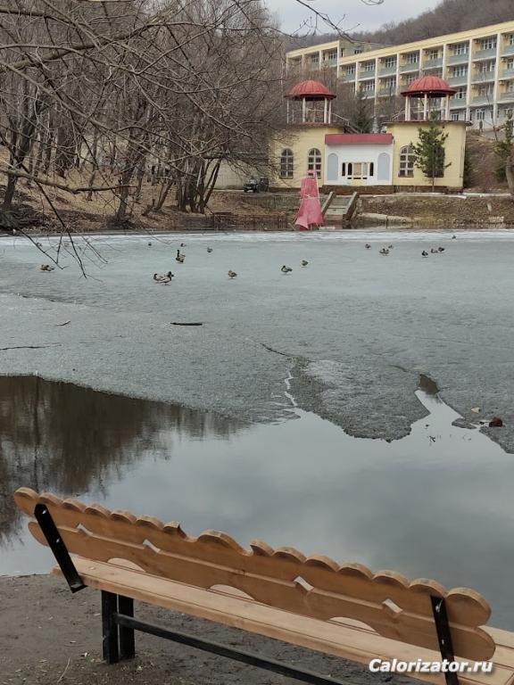 уточки