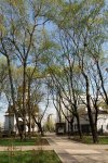 Маленькая церковь по пути..