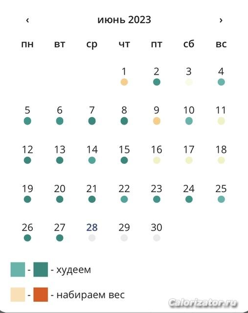 Поддержание калорийности июнь 23