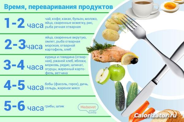 пища в желудке