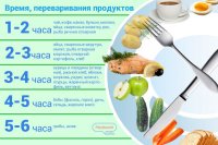 пища в желудке