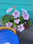 DSC00468
