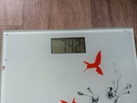 IMG 20230911
