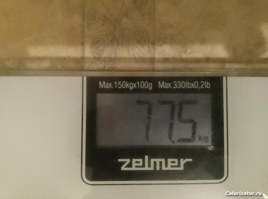 IMG 20241103 070500