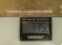 IMG 20241103 070500