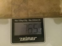 IMG 20241130 064800