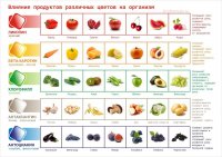 растительная пища по цветам