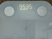 IMG 4550