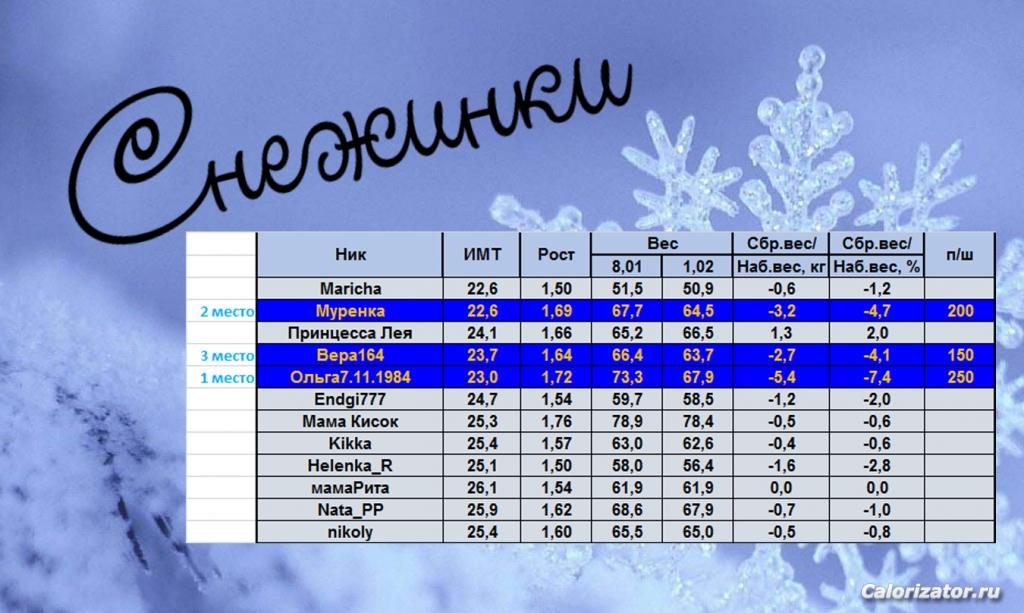 Снежинка-январь-итог