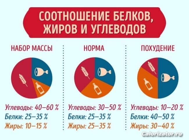 таблица соотношения белков, жиров и углеводов