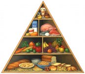 Food Pyramid is a nutrition guide for all parents