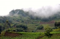 volcanoes-national-park-rwanda-mattpaynewriter-com-1