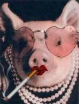 smoking-pig