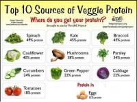 top 10 veggie protein