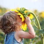 Fotolia-girl smelling sunflower