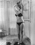 Sophia Loren268