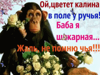 ой цветёт калина