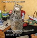cat-pray