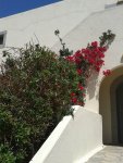 Отель. Все цветет и пахнет. Крит, май 2017