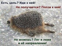 e299b808980365371b481c7b95a7c5d0--guli-russian-jokes