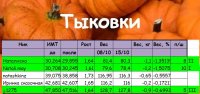 тыквы