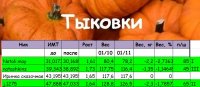 тыквы