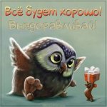 выздоравливай