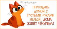 Без названия