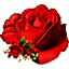 Роза красная (6)