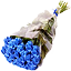 Синие розы (1)